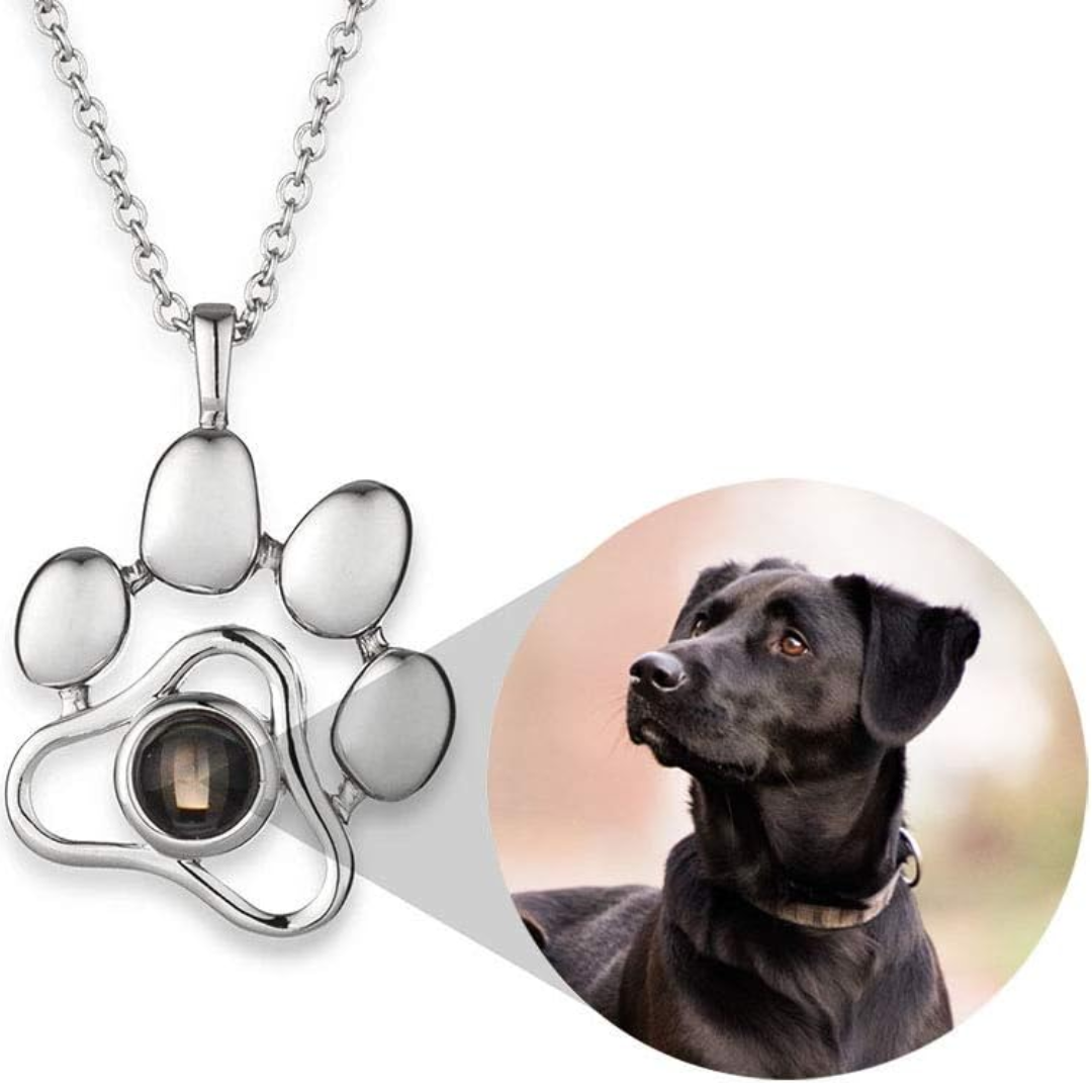Collar de Recuerdo Eterno - SoulPaw